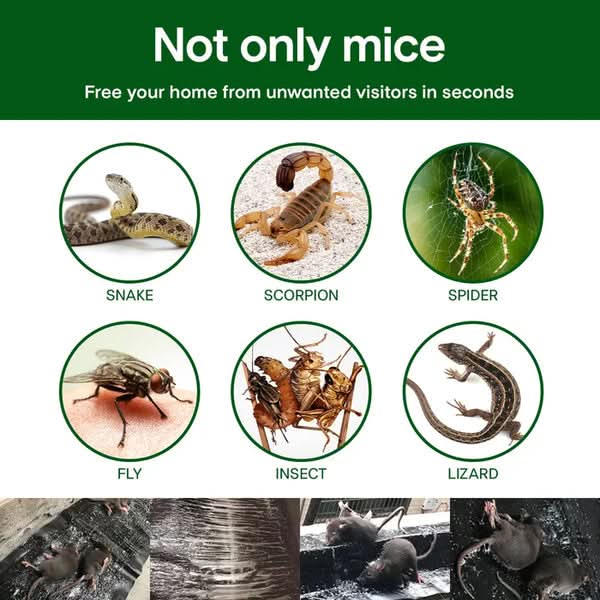 1+1 Gratis | Extra Starke Ratten-Stickyfalle